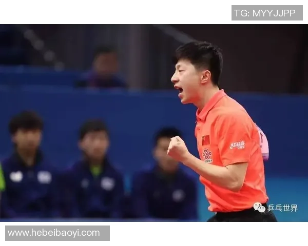 聚焦乒乓球技术探讨：上海乒乓球队的训练与战术分析