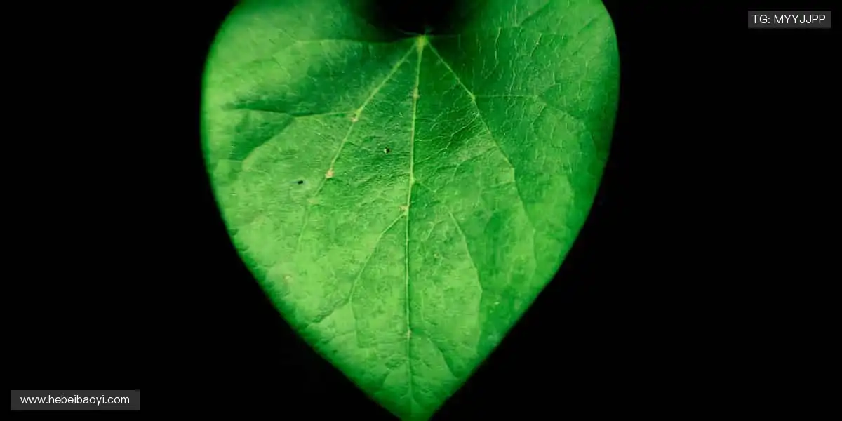 👕球迷专属,个性定制!⚽️穿上热爱,为偶像打 call!